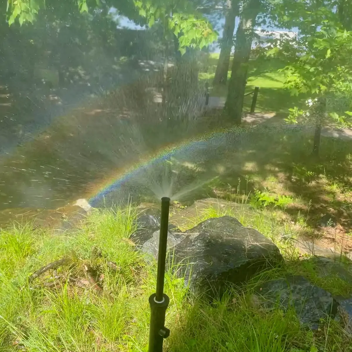 2022 - aj spray photo with rainbow 2022 - aj spray photo with rainbow