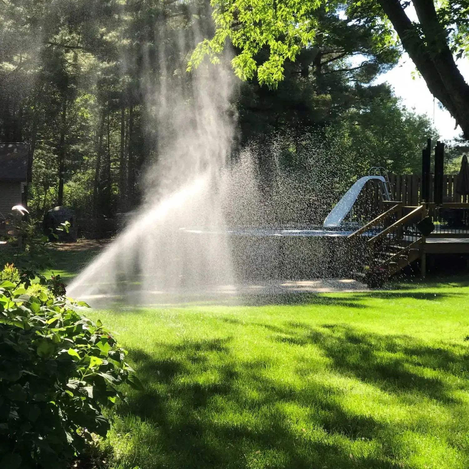 irrigation in sun Lawn Sprinkler Company Minocqua, WI